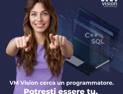 VM Vision cerca programmatori