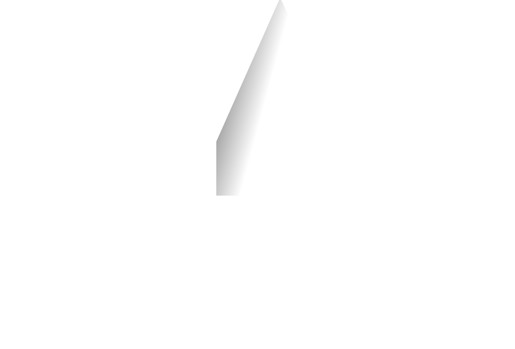 logo vm vision negativo senza payoff