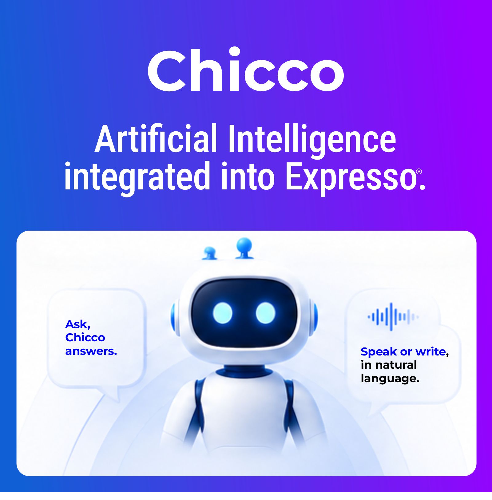 chiecco news EN